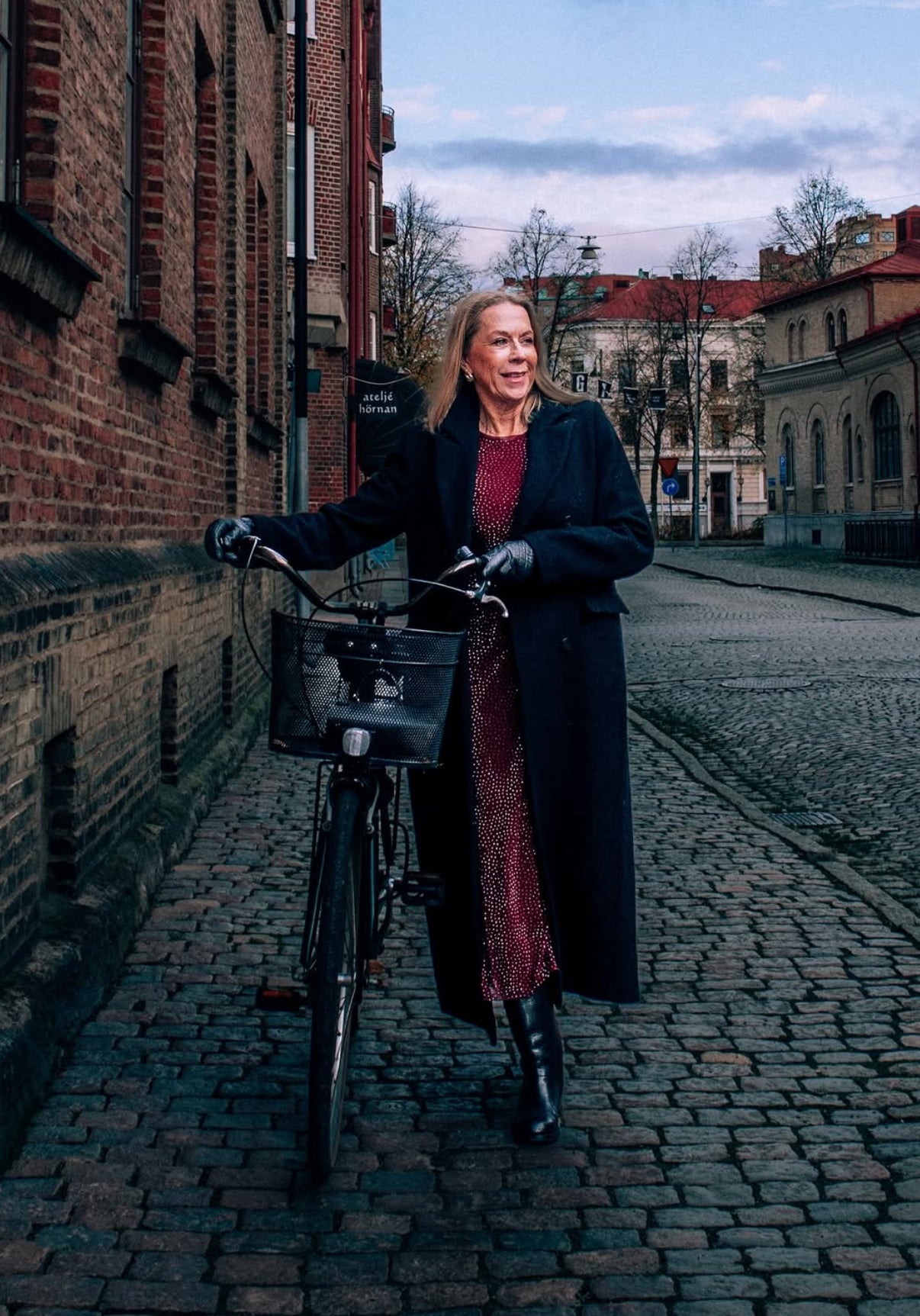 S A L E Dress Alixes glitter stone plum